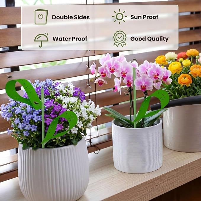 Qualirey 300 Pcs Sticky Houseplant Traps Fungus Gnat Fruit Fly Trap Sticky Houseplant Stakes Insect for Outdoor Garden Aphids, Whiteflies, Fruit Flies, Fungus Gnats, and Other Insects (Green)
