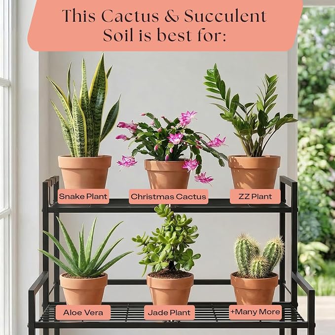 Rosy Soil Cactus Soil – Organic Succulent Potting Mix, Chunky Fast Draining, Peat-Free, Root Boosting Mix for AloeVera, Cacti, Indoor Succulents - 4qt, Pack of 2