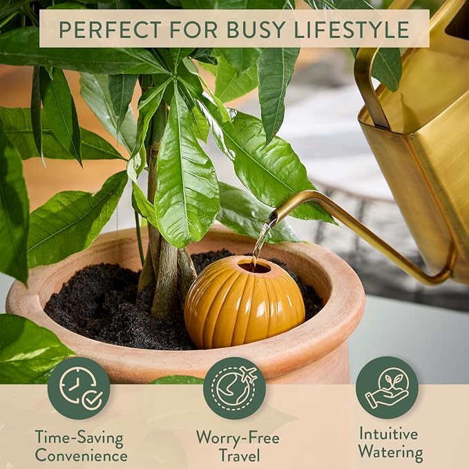 Modern Sprout Terracotta Self-Watering Bulbs for Indoor Plants,10oz Watering Globes 3 Pack, Glazed Finish with Cork Top - Plum, Sage & Mustard, Decorative Plant Accessories, Father's Day Gift for Dad