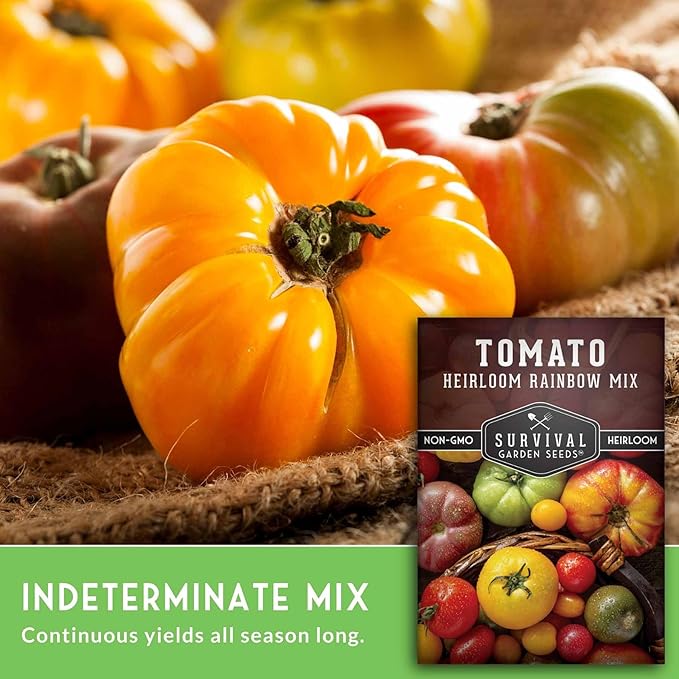 Heirloom Rainbow Mix Tomato Seeds for Planting - Colorful Heirloom Varieties Seed Blend, High Yield Garden Tomatoes, Non-GMO Open Pollinated - Survival Garden Seeds (1 Pack)