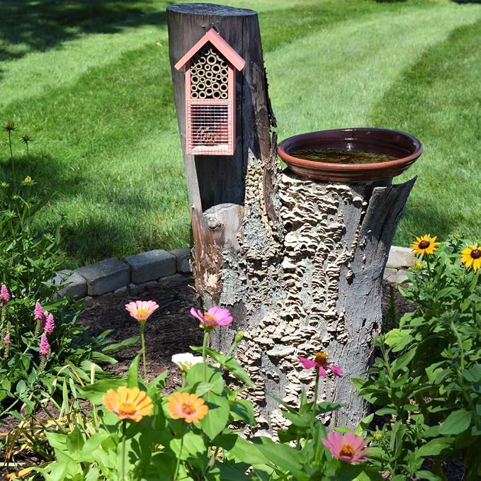Nature's Way Bird Products PWH2-B Dual Chamber Red Insect House