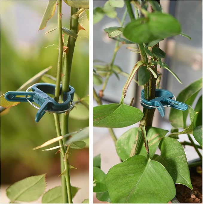 PERSZEN Plant Support Clips, 120 PCS Gentle Flower Plant Clamps for Supporting Vine Climbing Plants, Gardening Lever Loop Gripper Clips Help Stems Vines Grow Straight Upright, 2 Sizes in one Pack