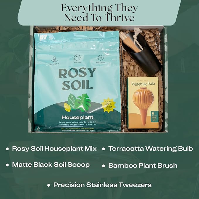 Rosy Soil Plant Parent Essentials Gift Box - Indoor Plant Kit & Gardening Tool Kit | Peat-Free Houseplant Soil, Terracotta Watering Bulb, Soil Scoop, Plant Brush - Gift for Father's Day, Plant Lovers