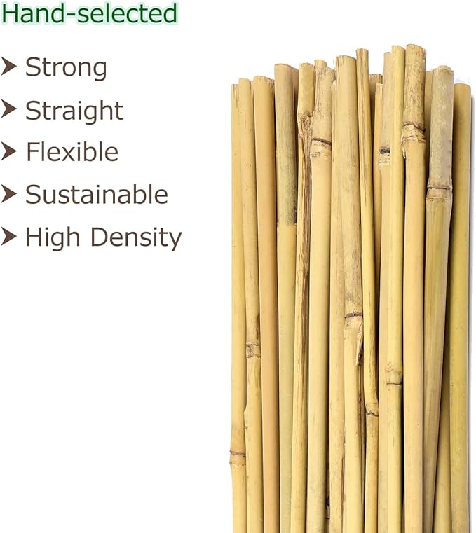 Cambaverd 6ft Bamboo Garden Stakes Eco-Friendly Plant Stakes 6 Feet, Bamboo Poles for Tomatoes Beans Climbing Plants Support - Pack of 20 Bamboo Stakes