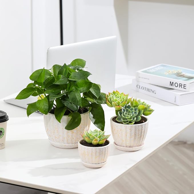 STHIE Ceramic Plant Pots with Drainage Holes and Saucers, Round Flower Pots for Indoor Plant, Diameter 3.3/4.3/5.5 Inches Small Flower Planters Set of 3