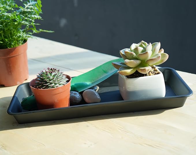 VUWEZ 6 Pack Plastic Plant Trays - Rectangular 14 inch, Indoor/Outdoor Plant Saucers with Drip Protection, Perfect for Windowsill or Planters (6.8 x 14.5'', Black)