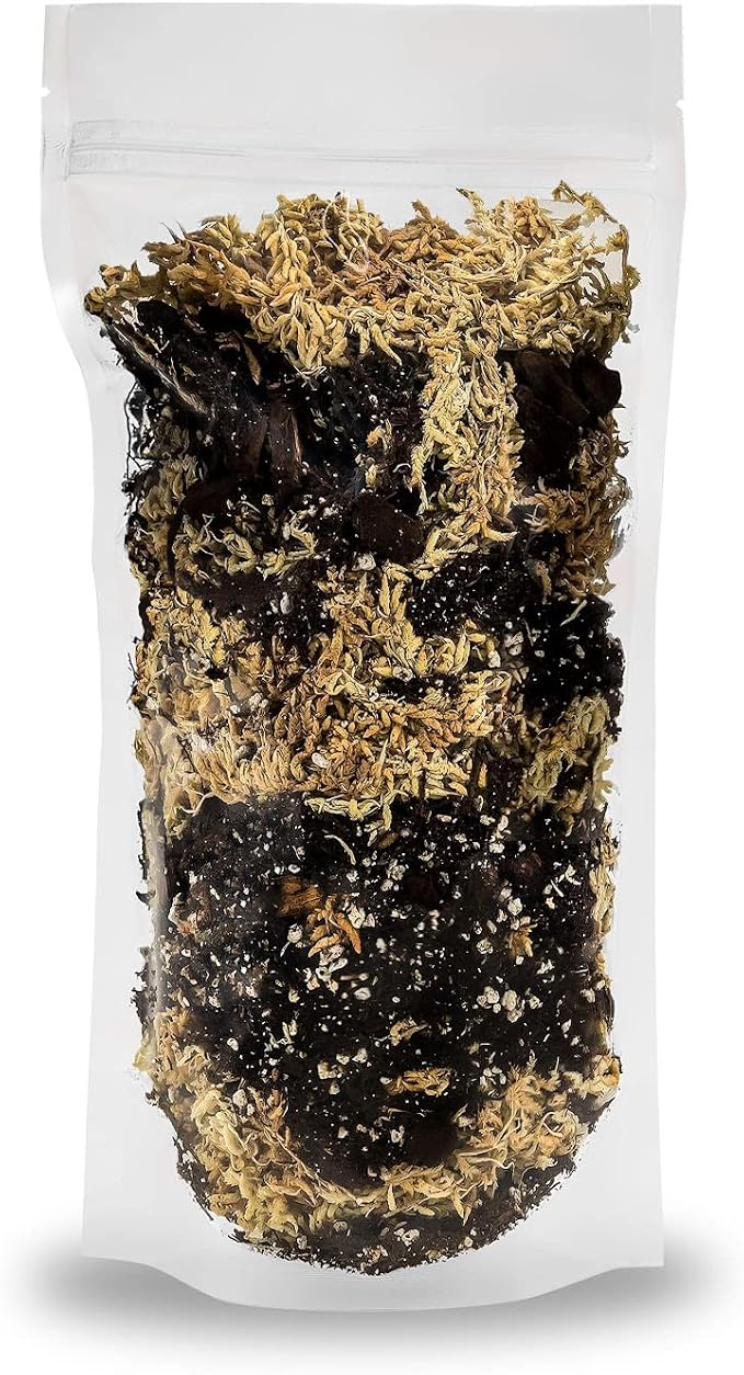 Gardenera Premium Orchid Mix by GARDENERA | Fern + New Zealand Pine Bark + Sphagnum Moss + Perlite | Best for Growing and Repotting Orchids - 3 Quart Bag