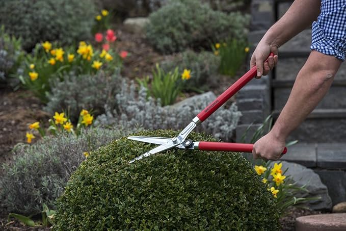 BERGER Hedge Shears – Professional 23.6" Garden Clippers with Chromium-Plated Blades, Sap Groove for Clean Cuts, Adjustable Blade Tension, Beechwood Handles – 2520