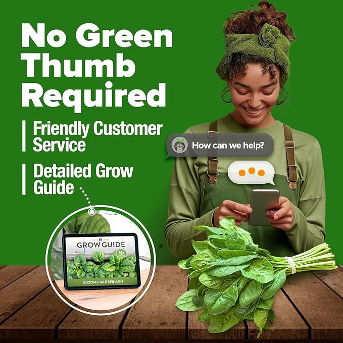 HOME GROWN Bloomsdale Spinach Seeds 704+ Heirloom Non-GMO Seeds for Planting, High Germination, Cold Hardy Dark Green Savoy Leaf, Nutritious Superfood, Indoor Outdoor Garden (Spinacia oleracea)