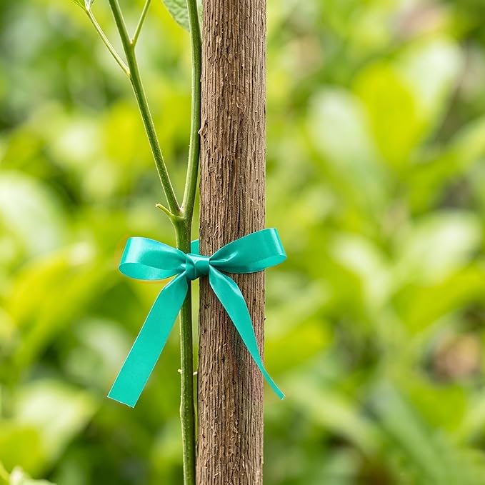 12 Rolls 150 Feet Stretch Tie Tape 0.5 Inch Garden Tie Tape Thick Plant Ribbon Garden Green Vinyl Stake for Indoor Outdoor Patio Plant Use