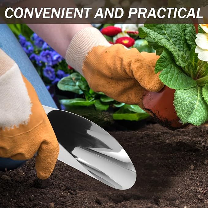 BESTonZON 2Pcs Small Soil Scoop and Sifter Set, Stainless Steel Bucket Shovel Bonsai Tools for Indoor Plants, Dirt Scooper Potting Spade for Succulent