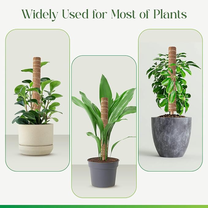 Pisol Moss Pole for Plants Monstera, Extendable Plant Sticks Support, Plant Stakes for Indoor Potted Plant, 15.7'' Coco Coir Pole Plant Trellis for Sphagnum, Pothos and Other Climbing Plants(4 PCS)