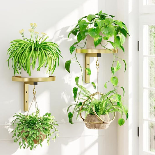 iDavosic.ly Wall Plant Holder Set of 2 for Indoor Outdoor, Metal Hanger with 2 Hooks, Floating Flower Display Stand for Window, Space Saving & Easy to Assemble (Pots/Chains/Plants Not Included), Gold