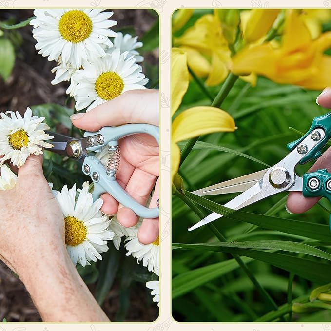 Modern Sprout Pruning Shears - Herb Snipping Scissors- Lightweight Gardening Tools W/Easy Lock- Flower Cutter Garden Shears-Gift for Father's Day-Carbon Steel Blade+Reusable Holster(Chartreuse,1-Pack)