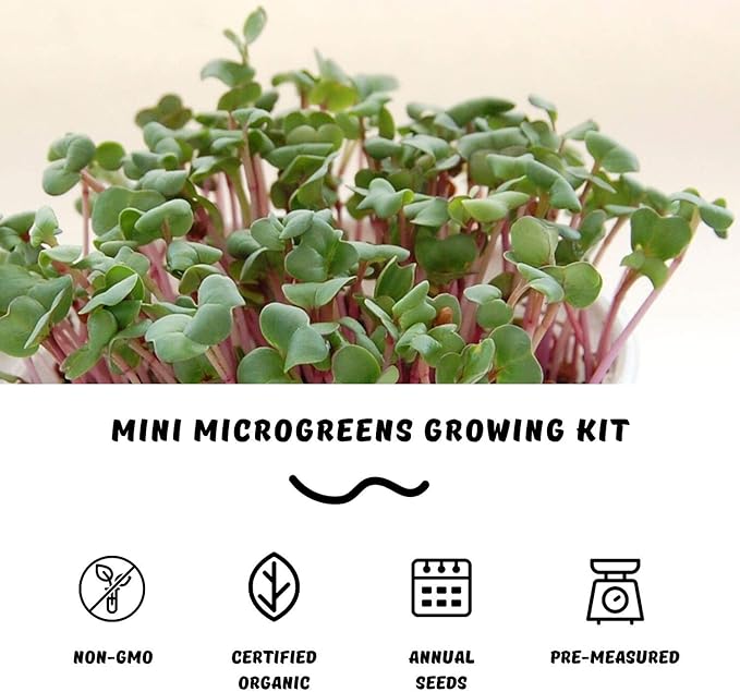 Mini Microgreens Growing Kit - Radish - Grow Your Own Organic Gourmet Micro Greens Indoors: Salad, Sandwich & Garnish - Easy & Fun - Great Gift or Stocking Stuffer (Radish)