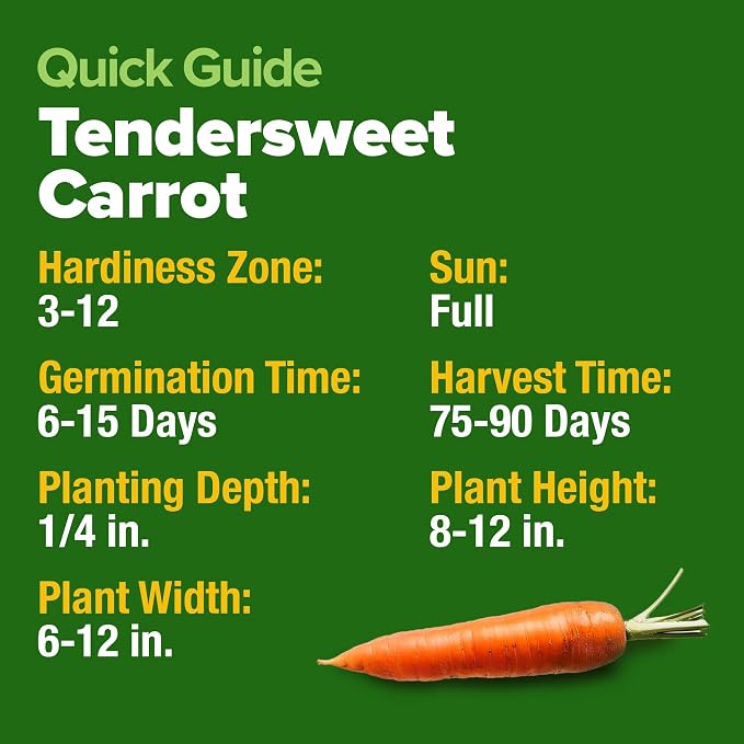 HOME GROWN Tendersweet Carrots Seeds 6000+ Heirloom Non-GMO Seeds for Planting, High Germination,Sweetest Coreless Root Vegetable,Crunchy Summer Garden,Great for Canning (Daucus carota subsp. sativus)