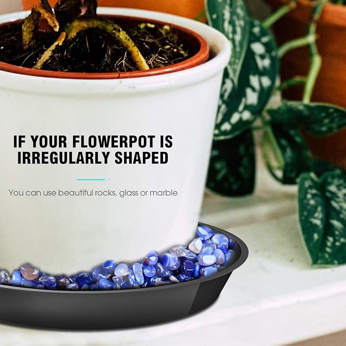6 Pack Plant Saucer 4 6 8 10 12 14 16 18 20 22 Inch Plastic Plant Tray, Sturdy and Durable Flower Pot Container Accessories Plant Pot Saucers for Indoor and Outdoor (14 Inch, Black)