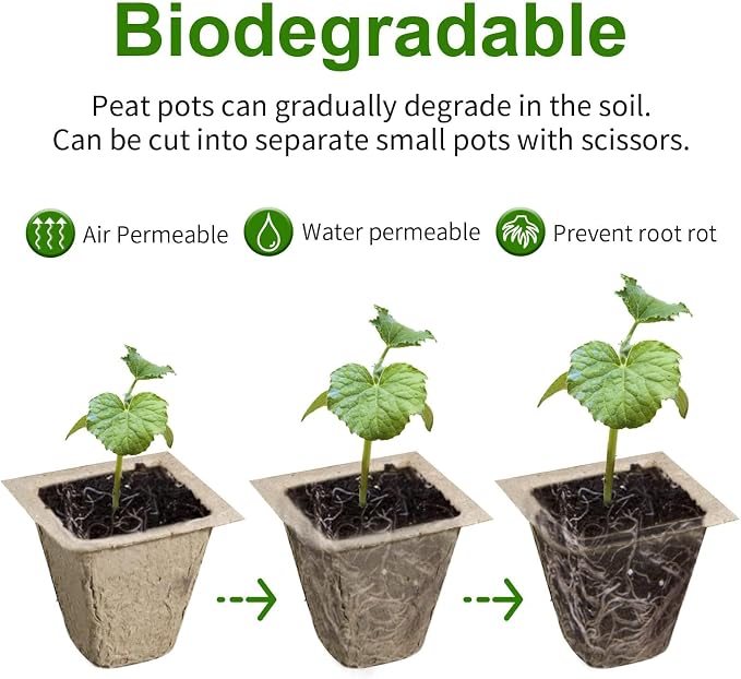 400 Cells Seed Starter Tray, 40 Pack Biodegradable Seed Starter Kit, Peat Pots for Seedlings with 400 Plant Labels, 2 Seed Planting Tool and 1 Spray Bottle