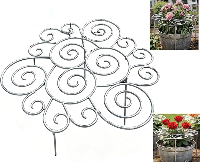 Plant Support Ring for Most Plants – Heavy Duty Metal Cage for Flowers, Vegetables, Tomatoes, Peonies, Roses – Garden Stake for Indoor/Outdoor Pots – No Tools Needed (L)