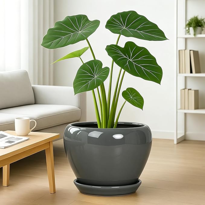 Deep Dream 10 Inch Plant Pot- Ceramic Planter Pot Round Plant Pots for Indoor Plants Outdoor Large Flower Pot with Drainage Holes & Trays, Grey