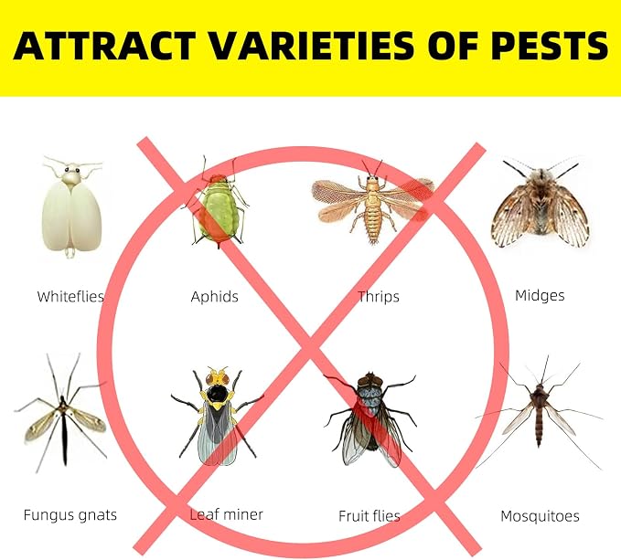 36PCS Fruit Fly Sticky Traps Fungus Gnat Traps Insect Trap for Plants Kitchen Indoor Outdoor White Flies Mosquitos Fungus Gnats Flying Insects Houseplant Gifts (Love Shape)