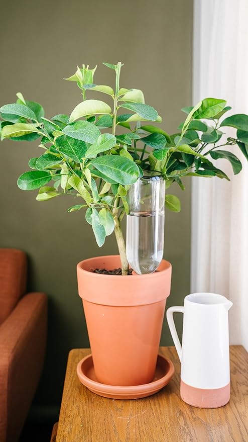 Oasis Terracotta Watering Spikes (6-Pack) – Self Watering Plant Stakes for Wine Bottles | Automatic Slow-Release Watering for Houseplants & Container Plants