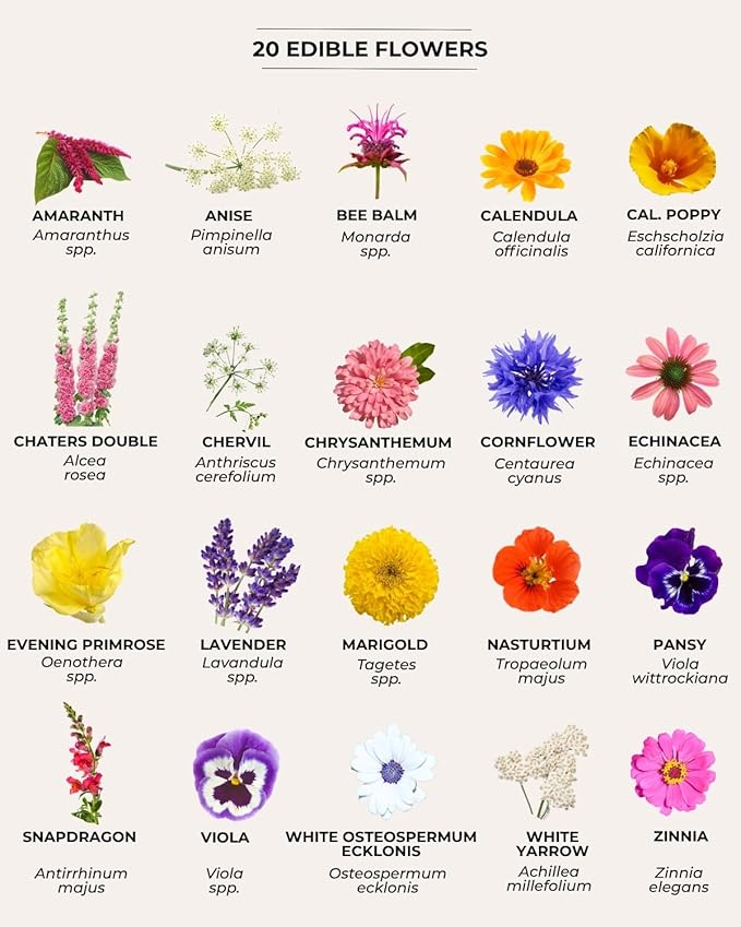 Tactiko Survival 60 Medicinal & Survival Seed Kit – Heirloom Non-GMO USA Grown Seeds for Vegetables, Herbs & Edible Flowers – Emergency Food Supply Vault - Mylar Storage - Tools - Planting Guide
