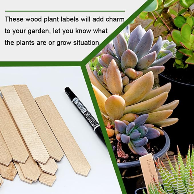 Zkptops 50Pcs Wooden Plant Labels Plant Tags 6 Inch Garden Plants Markers Waterproof Seed Labels Markers Sticks Outdoor Garden Label Stakes Sign Wooden Plants Name Tags for Seedling Vegetables Flower