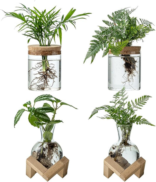 Plant Propagation Station, 2 Style Glass Planter Terrarium Set for Hydroponic Plants | Home Office Tabletop Decor, Gardening Gifts for Women, Mom, Plant Lovers (4)