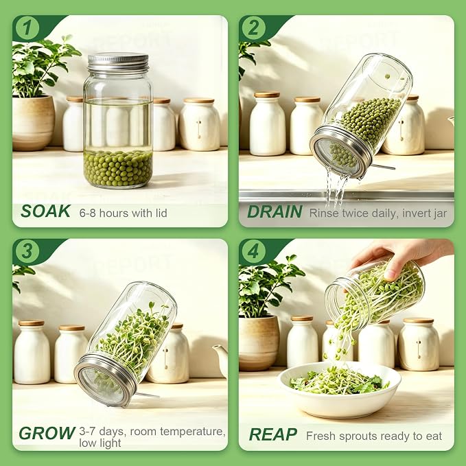 2 Pack DnerLery Sprouting Lids for Wide Mouth Mason Jars, Stainless Steel Fine Mesh Lids Only, Fit Mason Jars for Broccoli, Alfalfa, Mung Bean & Microgreens, No Jars, Germination Kits