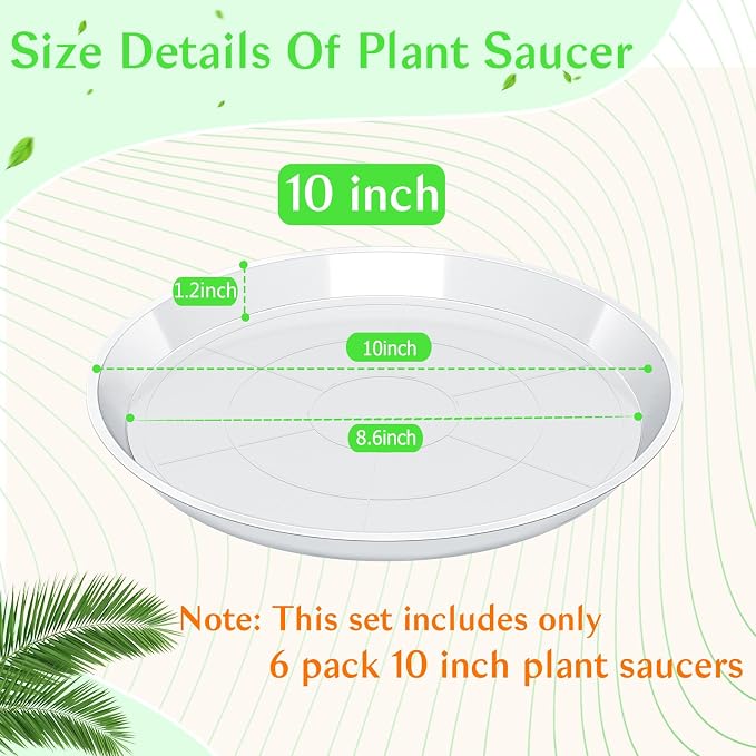 FUIJOL 6 Pack Clear Plant Saucer, Durable Plant Drip Trays Saucers for Pots, No Holes Water Catcher Trays for Indoor Outdoor Planter, Sturdy Base Plate (10", Clear)