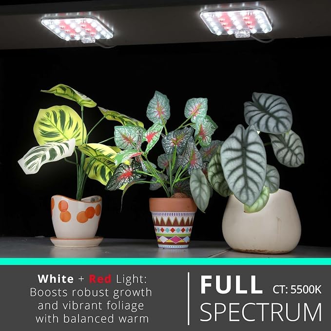 Full Spectrum LED Grow Light for Indoor Plants, 2 Panels 10W with 6/12/16h Timer Dimmable Plant Lights for Flower Veg Plant Growth USB, Daylight White, 2-Pack