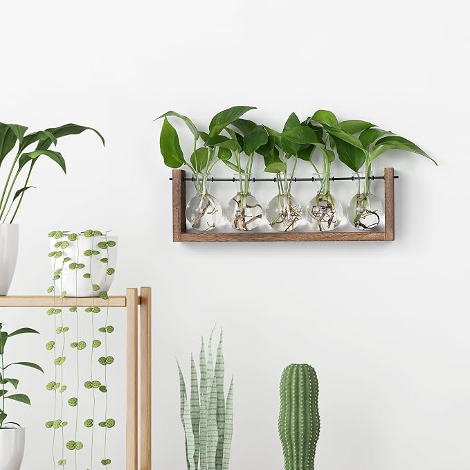 YIBOT Wall Hanging Glass Planter Plant Propagation Vase-5 Bulb Glass Vases | Plant Terrarium with Wooden Stand,Indoor Home Office Living Room Decor Gifts