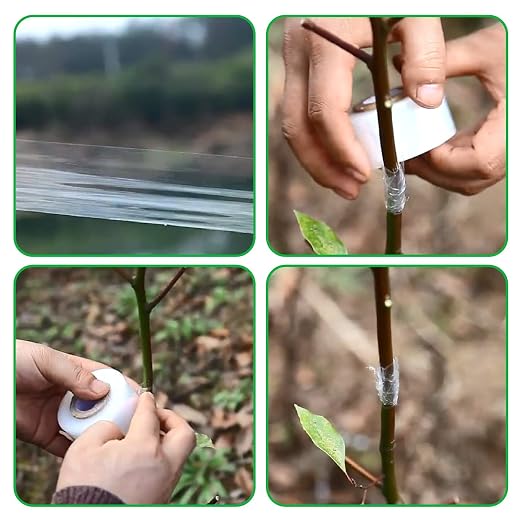 4 Pcs Grafting Tape for Fruit Trees Floral Grafting Tools Garden Plant Nursery Tape PE Stretchable Self Adhesive Membrane Clear Floristry Film