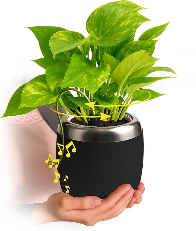 Smart Robotic Planter for 4” Potted Plants- Charcoal Black | Interactive Moving & Dancing Flowerpot with Bluetooth Speaker | Touch Responsive for Real Indoor Plants | Custom Voice Record