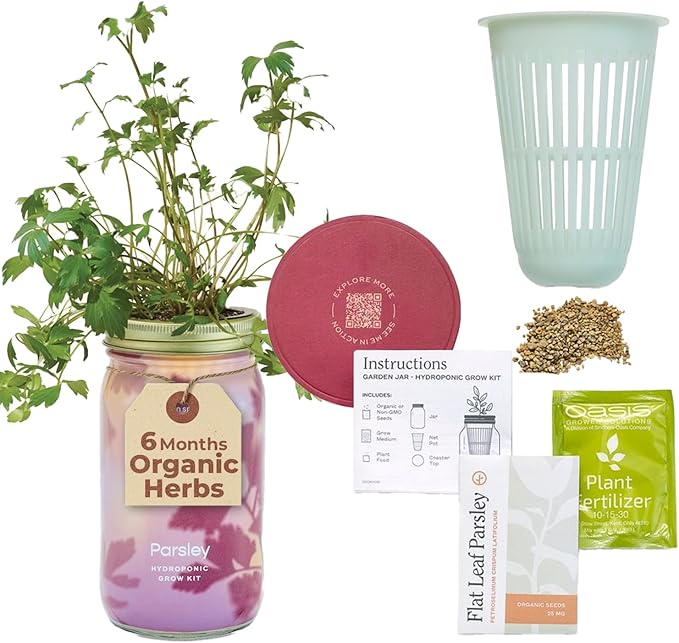 Modern Sprout Mason Garden Jar - Self-Watering Hydroponics Growing System Kit with Organic Herb Seeds - Jar Planter for Indoor Herb Garden - Seed Starter Kit - Gift for Mother's Day - Parsley