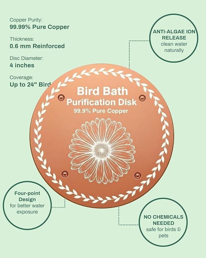 Bird Bath Purification Disk Pure Copper Backyard Outside Solar Power Wild Hummingbird Pedestal Fountain Cleaner Outside Feeder Cage Dispenser Heater Outdoor Railing Glass Concrete Daisy