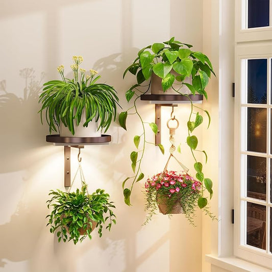 iDavosic.ly Wall Plant Holder with Grow Lights Set of 2 for Indoor Outdoor, Metal Hanger with 2 Hooks, Floating Flower Display Stand for Window, Space Saving & Easy to Assemble (Pots Not Included), Bronze