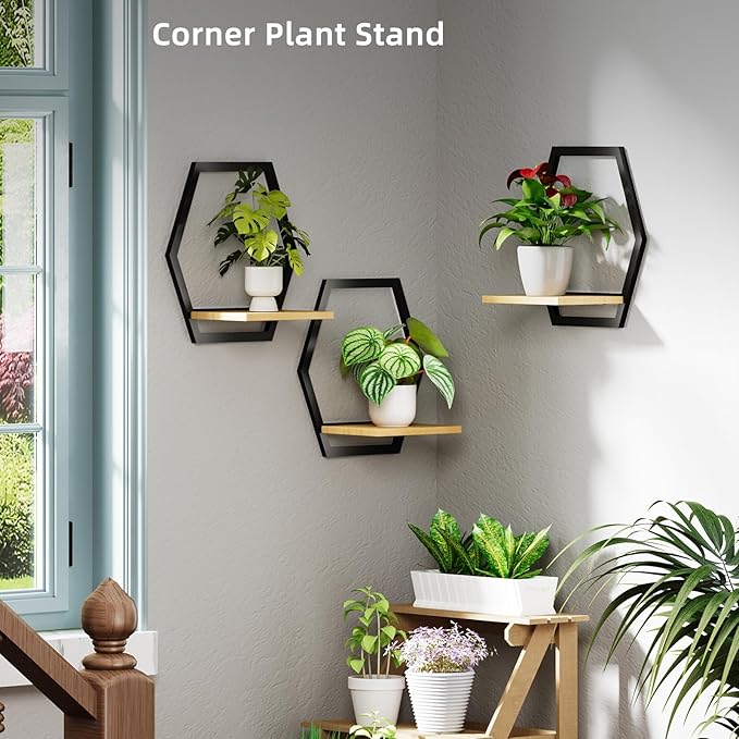 3 Pack Solid Wood & Metal Framework Wall Plant Stands,9 inch Natural Wood Shelf of Indoor,Mid Century Modern Hanging Planter for Outdoor Entryway 25 LB Load for Plants Black