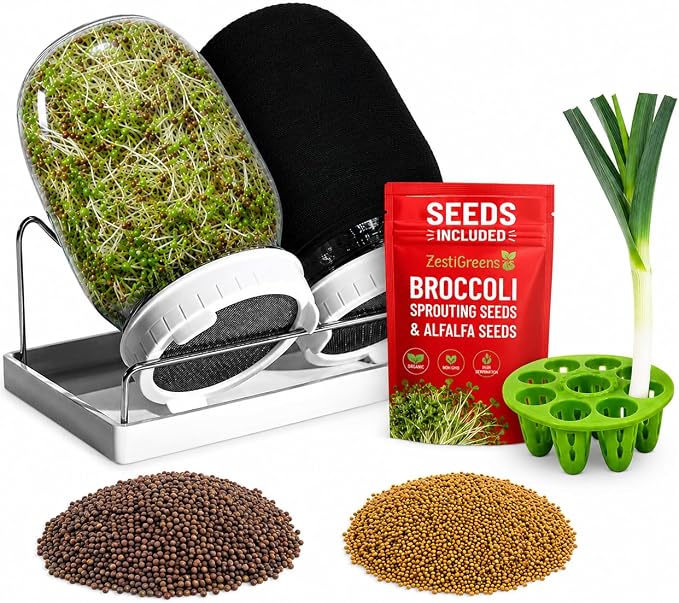 Broccoli Sprouting Kit & Green Onion Regrower with USA Organic Broccoli and Alfalfa Seeds– 2 Wide-Mouth Mason Jars with Sprout Lids, Stainless Stand, Drain Tray, Blackout Sleeves & Cleaning Brush
