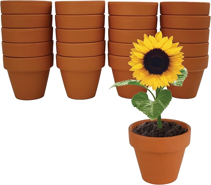 BUZZY Seeds Sunflower Grow Kit, Bulk 20-Pack - Mini Terracotta Pot Grow Set - Complete Indoor/Outdoor Gardening Kit with Seeds, Coconut Husk Growing Medium & Genuine Pots - 100% Grow Guarantee