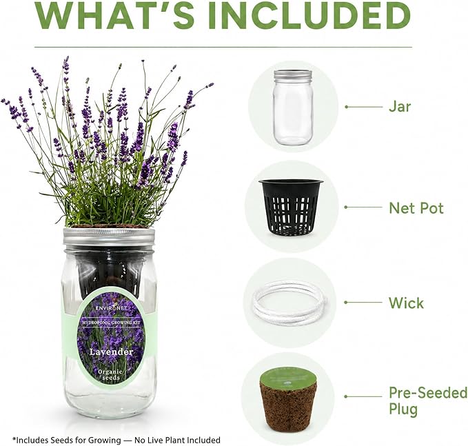 Hydroponic Herb Growing Kit, Self-Watering Mason Jar Herb Garden Starter Kit Indoor, Windowsill Herbs Garden, Grow Your Own Herbs from Organic Seeds (Lavender)