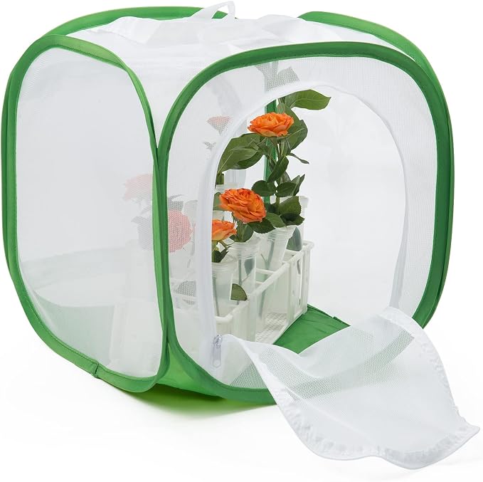 Two Doors Monarch Butterfly Habitat, Insect Mesh Cage, Caterpillar Enclosure Terrarium Pop-up (12 X 12 X 12 Inches)