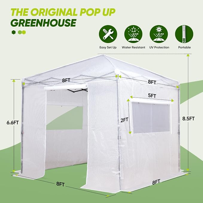 EAGLE PEAK 8x8 Portable Walk in Greenhouse, Pop Up Indoor Outdoor Greenhouse, Green House Kit with Zippered Roll-Up Doors and Windows, PE Cover, Clear/White