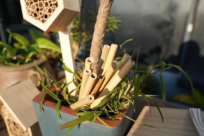 INature Bamboo Craft Tubes - 100 Count, 5" Eco-Friendly Sticks for DIY Bee Hotels, Solitary Bee Hives, and Pollinator Gardens