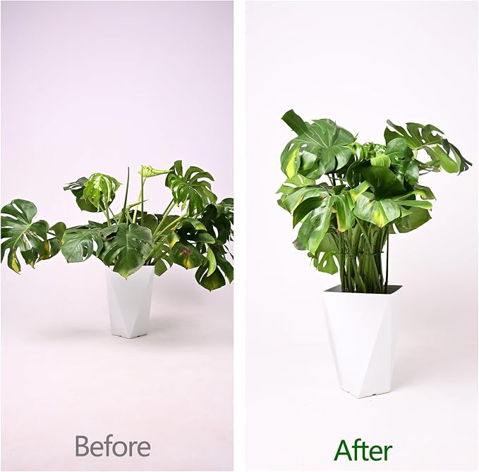 YOHSNOR 5PCS Monstera Plant Support Hook Green, 5.5IN - Durable Metal Stem Support for Indoor Plants, Adjustable & Easy to Install, Ideal for Monstera, Fishbone Cactus, and Decorative Plant Care