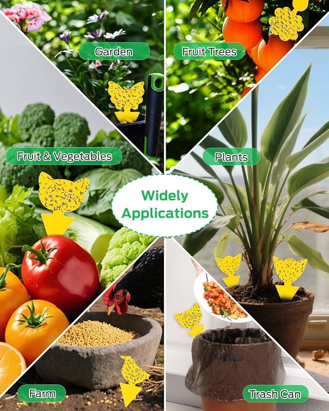 Sticky Traps for Flying Insects -20 PCS Yellow Sticky Traps for Seed Starting, Propagation Trays & Hydroponic Systems, Fungus Gnat & Whitefly Catcher for Grow Tents, Nurseries, Gardens