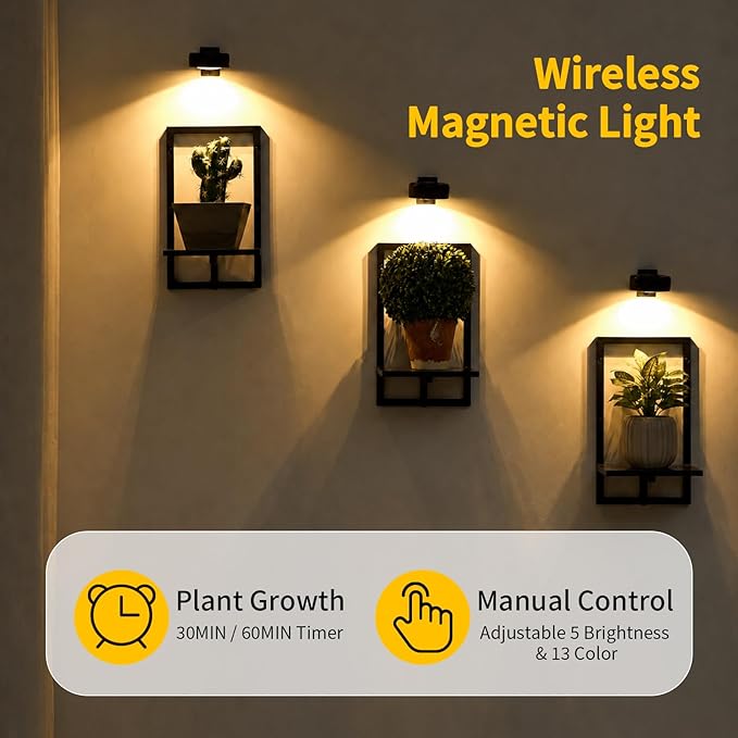 Wall Plant Holder with Grow Lights Set of 2 for Indoor Outdoor, Floating Flower Display Stand for Living Room, Bedroom, Bathroom, Kitchen, Entryway, White (3, Black)
