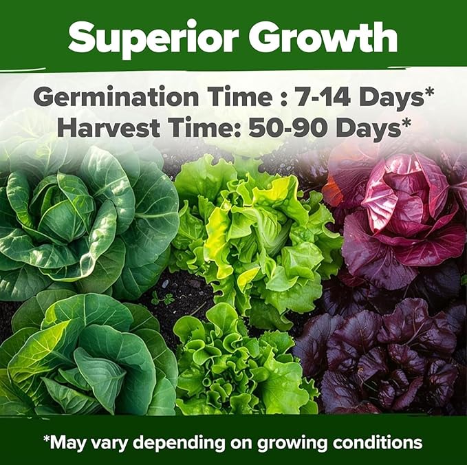 OME Grown 20 Variety Lettuce Seeds 21,500+ Bulk Pack Heirloom Non-GMO, High Germination, Romaine,Butterhead, Spinach, Kale, Iceberg, Continuous Harvest,Indoor Outdoor Hydroponic Garden