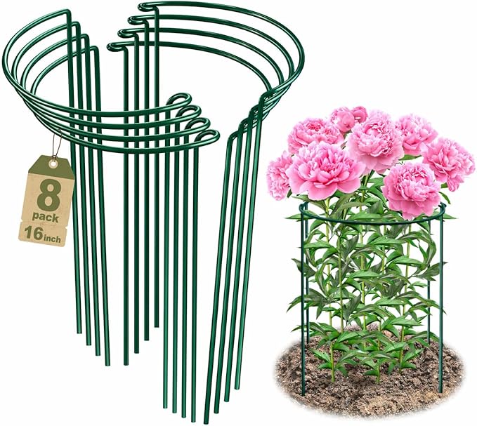 8 Pack Peony Support Cages, 10" W x 16" H Half Round Peony Plant Supports, Heavy Duty Metal Plant Support Stakes, Green Garden Plant Support Rings for Peony, Hydrangea,Tomato & Flowers
